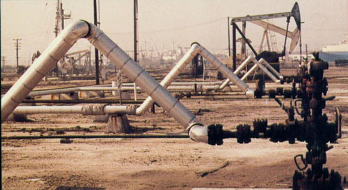 ����չʾ